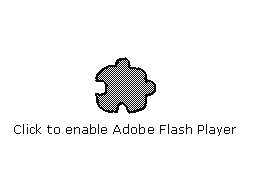 Adobe Flash Test