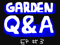 Q&A w/ ocs ep #3