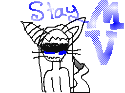 Stay MV