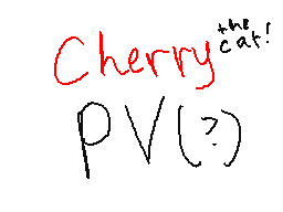 Cherry the Cat!