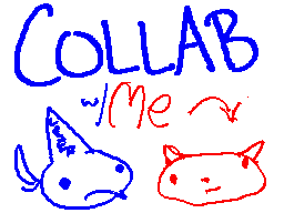 collab with mr mudpie