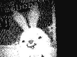 The Badge Arcade Bunny