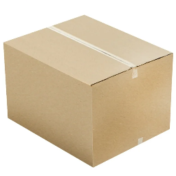 Cardboard Chewing Group