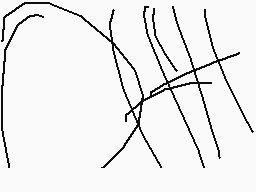 Drawn comment by Naudica♥♥♥