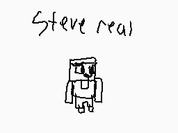 Drawn comment by CubeMuts
"Steve real"