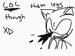 Gezeichneter Kommentar von Sonic