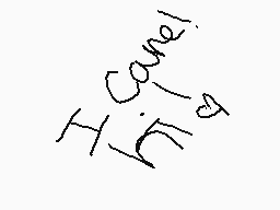 Drawn comment by flash