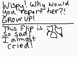 Drawn comment by Herobrine™
"Wisp! Why would you report her?! GROW UP! This flip is so sad. I almost cried!"