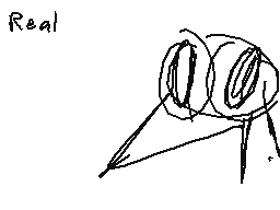 Drawn comment by dermo
"Real"