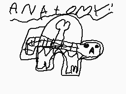 Drawn comment by ←←←←↓→↓→↓©
"ANATOMY!"