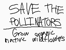 Drawn comment by MythoSpher
"SAVE THE POLLINATORS Grow organic native wildflowers"