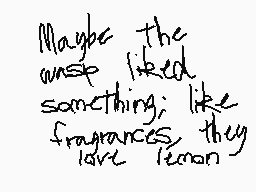 Drawn comment by MythoSpher
"Maybe the unspe liked something; like fragrances, they love itanan"