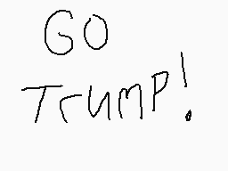 Drawn comment by Izabella C
"GO TRUMP!"