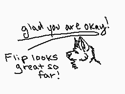 Drawn comment by Nohealani