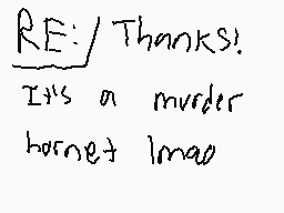Drawn comment by Sl4zyer117
"RE: Thanks! It's a murder hornet lmao"