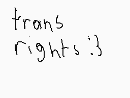 Drawn comment by DSi
"trans [rights.]"