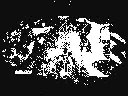 あおい😃📱⏰☀★★★'s profile picture