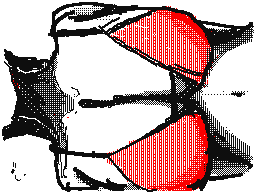 Flipnote by TeamRebut