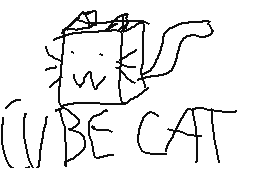 Cube Cat