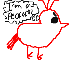 Weekly Topic: The Peacock!
