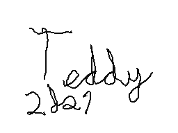 teddy's profile picture