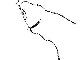 Recommended Flipnote Thumbnail