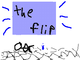 the flip