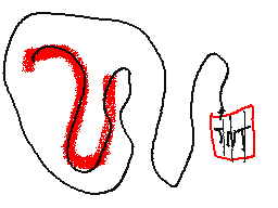 My peak of animation