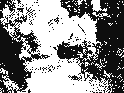 Flipnote by peluchix☔😃