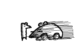 rat car