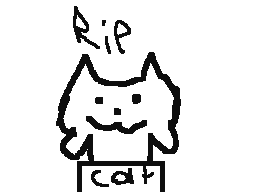 Rip Cat i drew