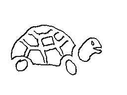 Spinny Turtle