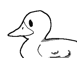 Ducky Quack