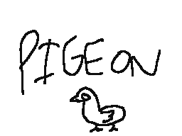 pigeon!!!