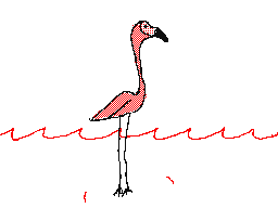 Flamingo Dancin'