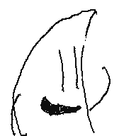 fruitman29's profile picture