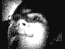 Timothy's profile picture