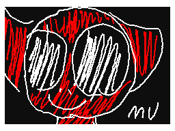 Flipnote by frozenwing