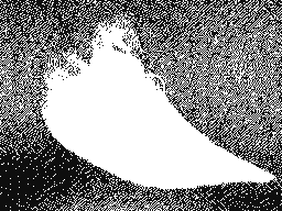 find the secret text