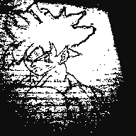 Demetreus's profile picture