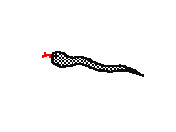 Snake (Test animation #9)