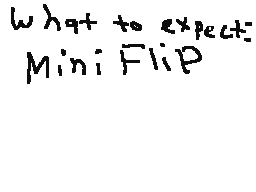 What to expect | MiniFlip