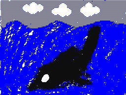 Orca (Killer) Whale