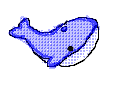 whale