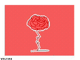rose