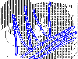 Flipnote by Caitlin ☀