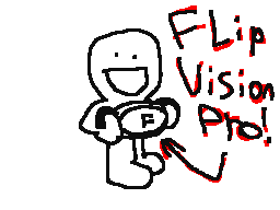 THE FLIP VISION PRO!!!