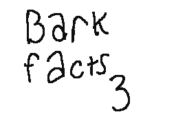 Bark facts 3