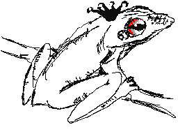 The Prince is cursed to be a frog.