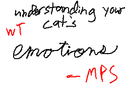 Understanding your Cat's Emotions